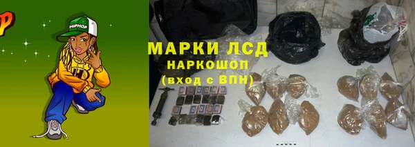 ГАЛЛЮЦИНОГЕННЫЕ ГРИБЫ Бородино