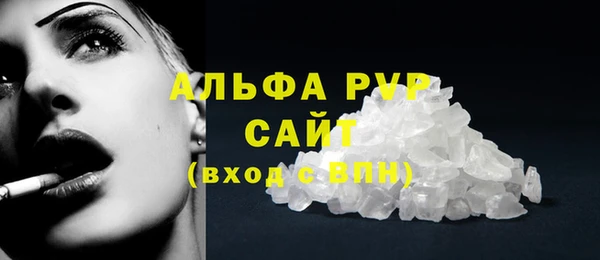 индика Бронницы