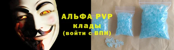 индика Бронницы