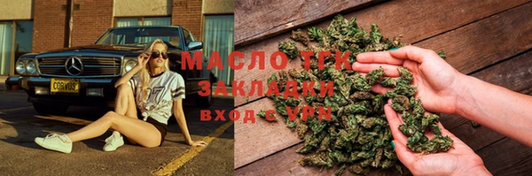 индика Бронницы