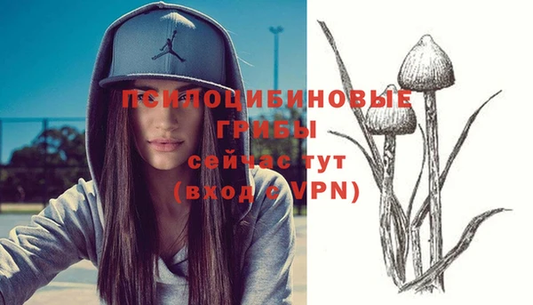 ГАЛЛЮЦИНОГЕННЫЕ ГРИБЫ Бородино