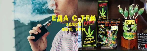 индика Бронницы