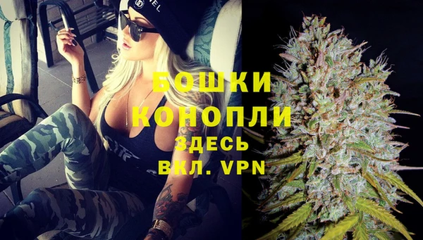 ГАЛЛЮЦИНОГЕННЫЕ ГРИБЫ Бородино